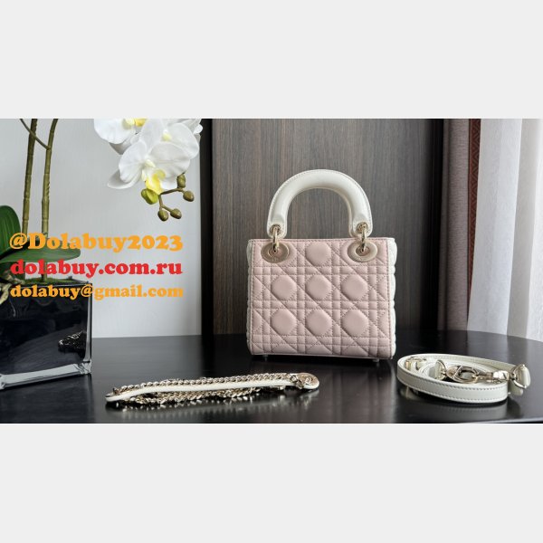 Perfect Quality High Quality bag Christian Lady Dior 17/20cm Bags