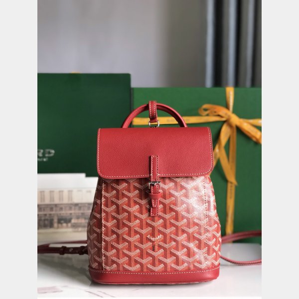 Copy Designer goyard Alpin mini backpack